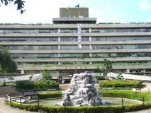 �r�������ʐ^