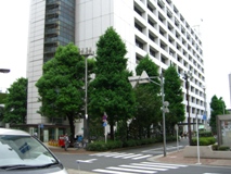 �䓌������ʐ^